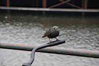 IMG_0020.JPG