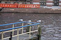 IMG_9818.JPG