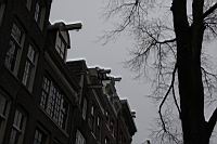 IMG_9869.JPG