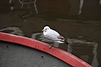 IMG_9913.JPG