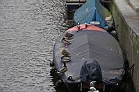 IMG_9916.JPG