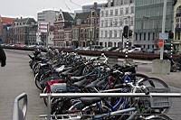 IMG_9966.JPG