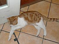 P1000325.JPG
