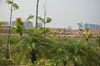 IMG_4049.JPG