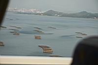 IMG_4076.JPG