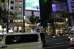 05-Night-Tokyo17.JPG