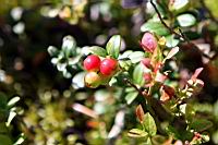 IMG_0042.JPG