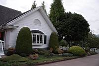 IMG_7151.JPG