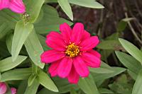 IMG_7161.JPG