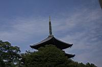 IMG_7189.JPG
