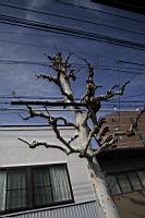IMG_7191.JPG