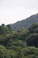 IMG_7392.JPG